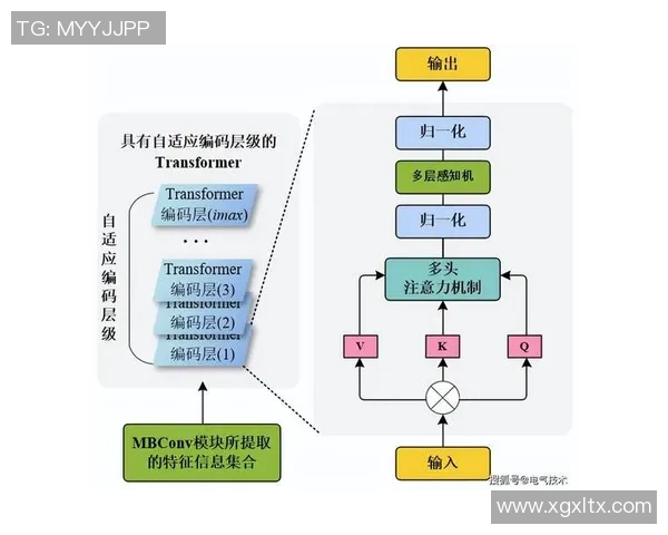 重庆排球队团队协作的独特优势与其他球队的深度对比分析